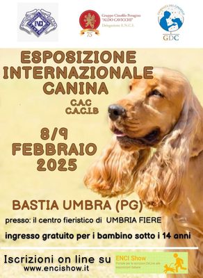 Esposizione internazionale canina