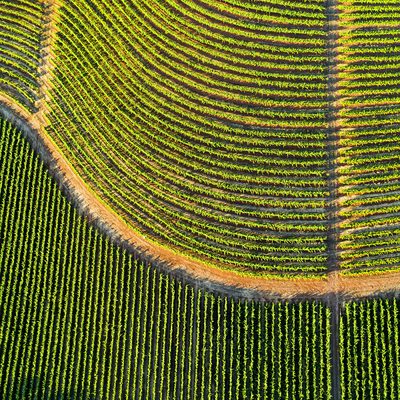 La nouvelle vague del Gavi